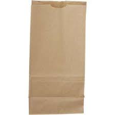 5lb Paper Bag