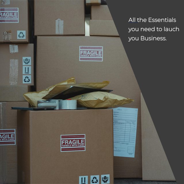 Your Ultimate Guide to Master Wholesale & Drop-shipping